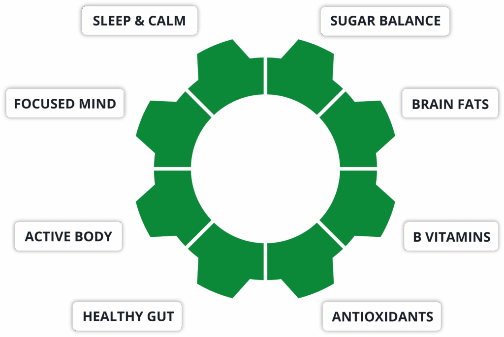 smart kids domain cogs